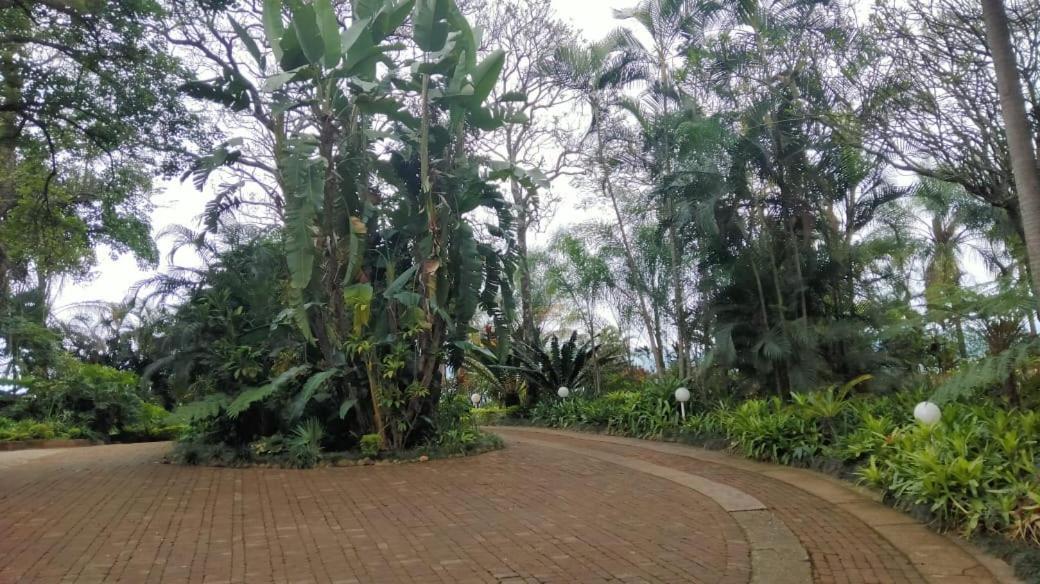 St George'S Guest House ซานีน ห้อง รูปภาพ