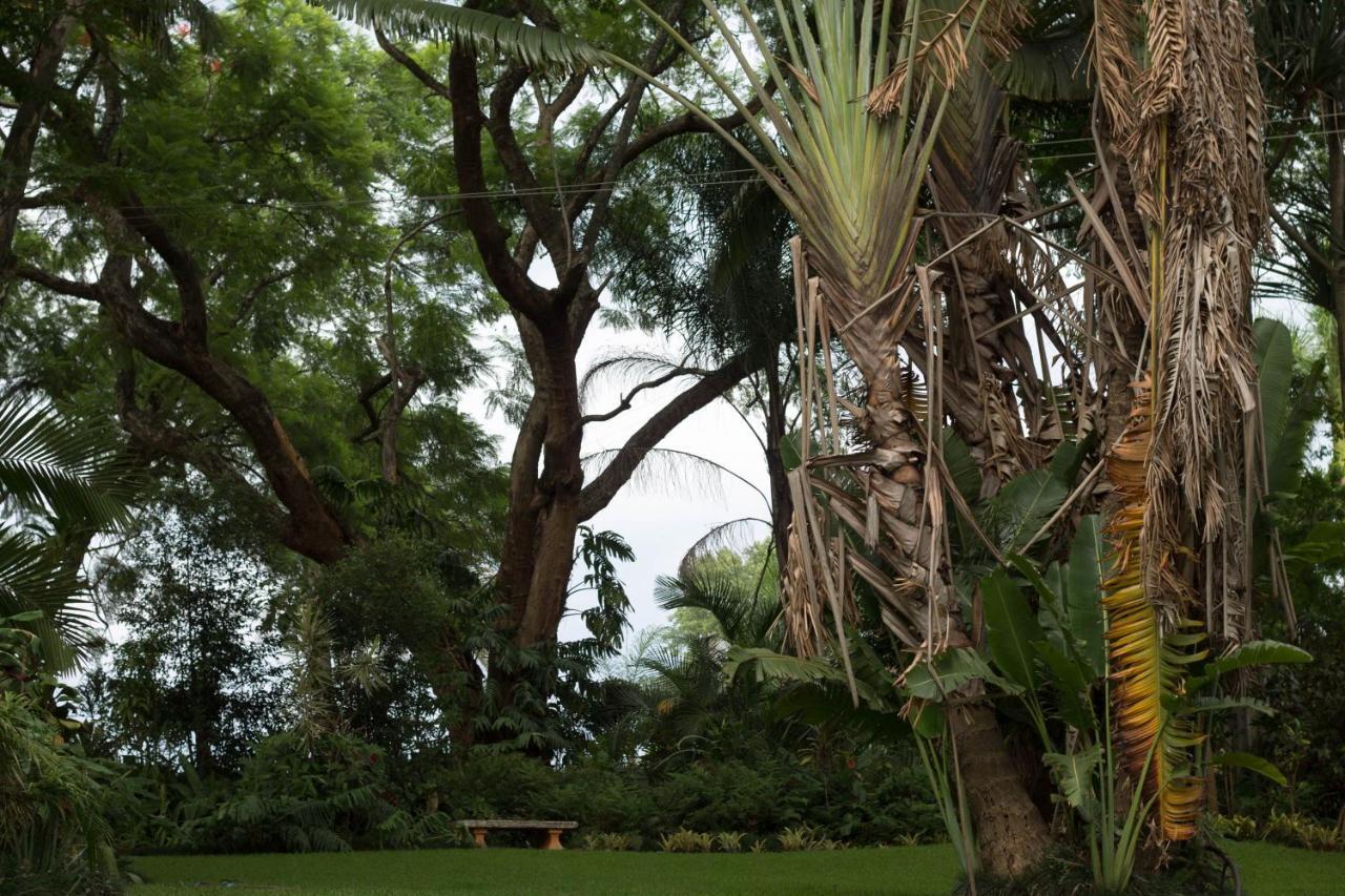 St George'S Guest House ซานีน ภายนอก รูปภาพ